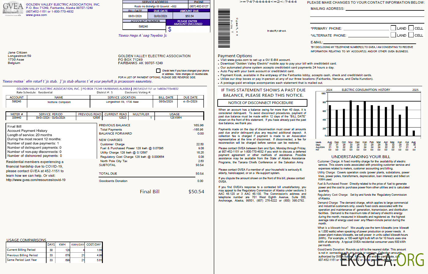 Belgium Golden Valley Electric Association utility bill template in Word and PDF formats, 2 pages